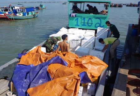 Bắt giữ 3 vụ nhập lậu cá các loại từ Trung Quốc vào Việt Nam