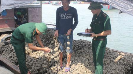 Đồn BP Trà Cổ bắt giữ và tiêu hủy 10 tấn hàu giống nhập lậu